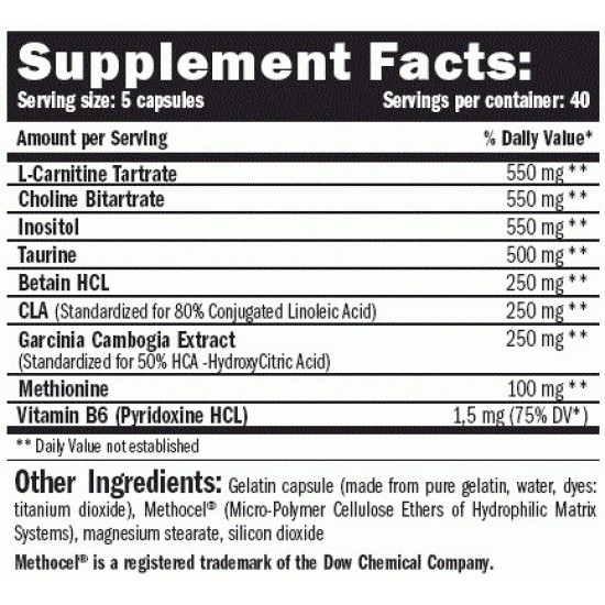 AMIX Lipotropic Fat Burner - 200 caps